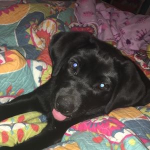 Meet your Posher, Ann